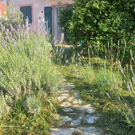 فيلا La Casa Di Ulivi Piano di Follo المظهر الخارجي الصورة