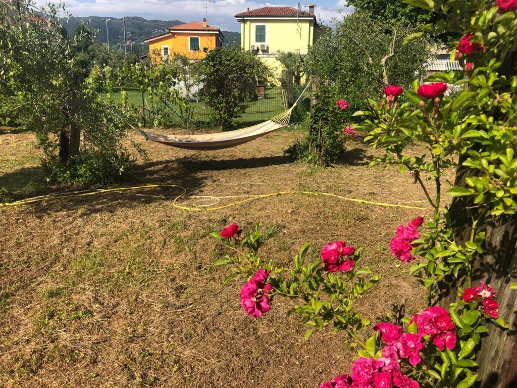 فيلا La Casa Di Ulivi Piano di Follo المظهر الخارجي الصورة