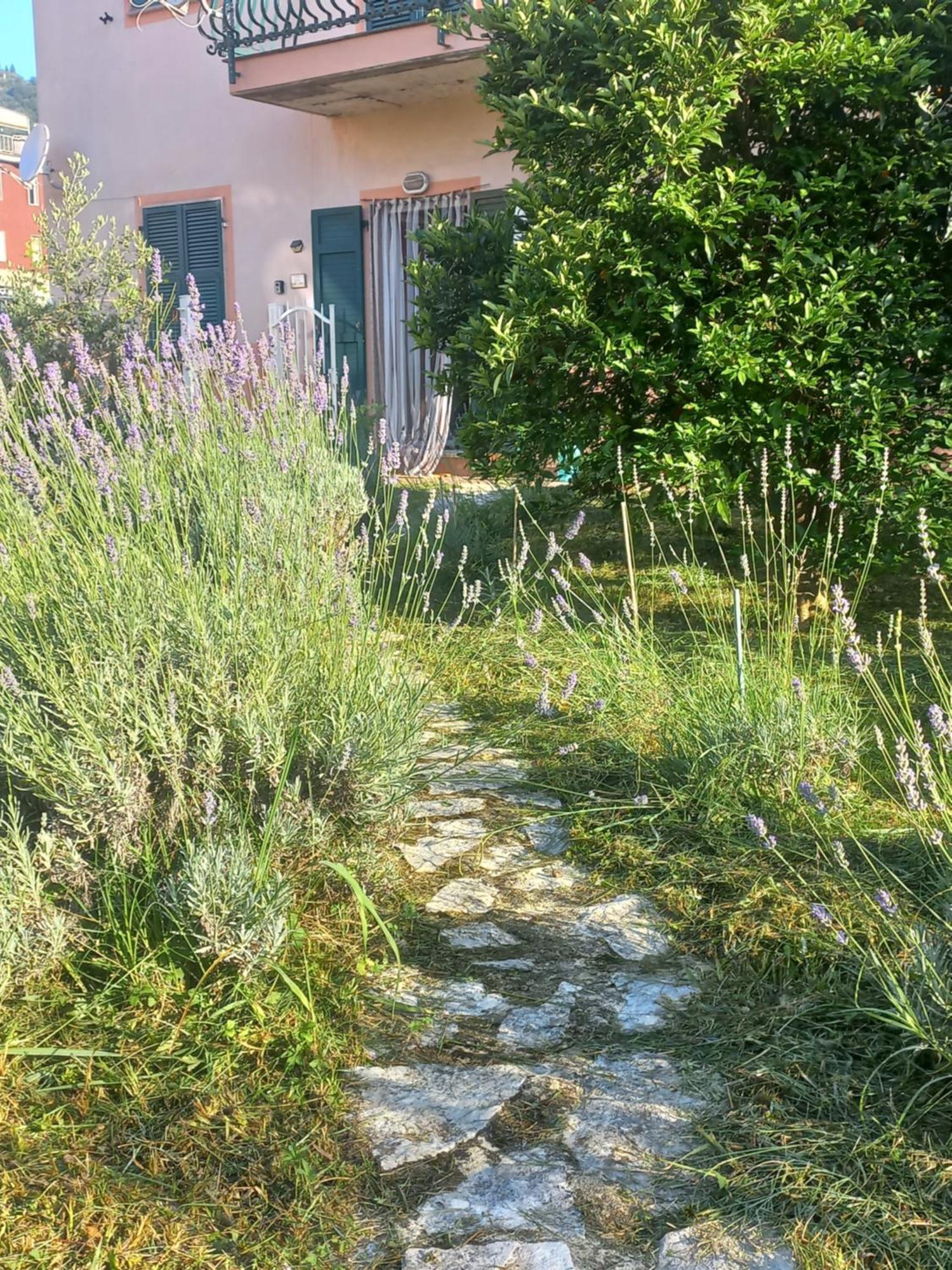 فيلا La Casa Di Ulivi Piano di Follo المظهر الخارجي الصورة